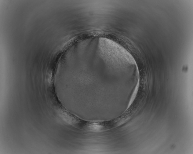 X0000090900610200708201719