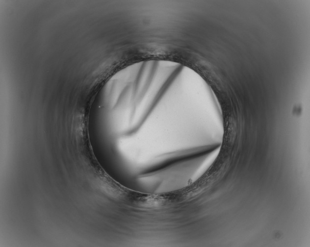 X0000090900612200708201719