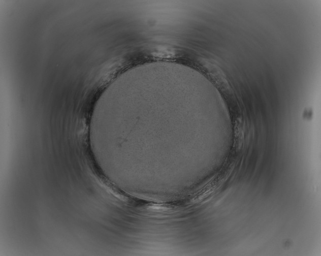 X0000090900614200708201719