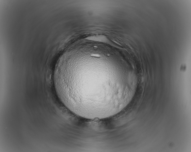 X0000090900615200708201719