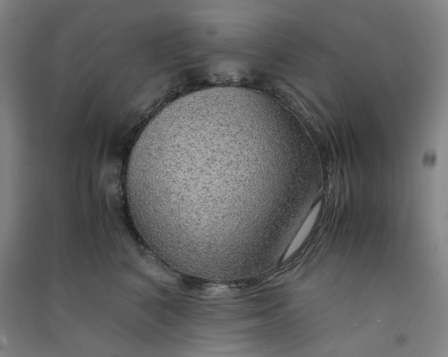 X0000090900616200708201719