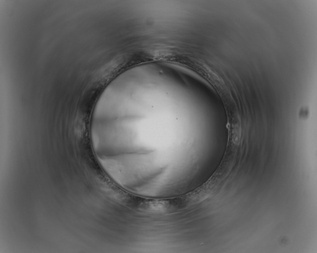 X0000090900618200708201719