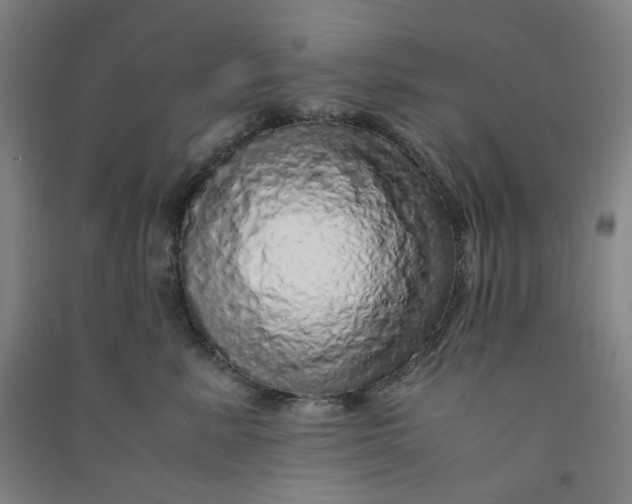 X0000090900619200708201719