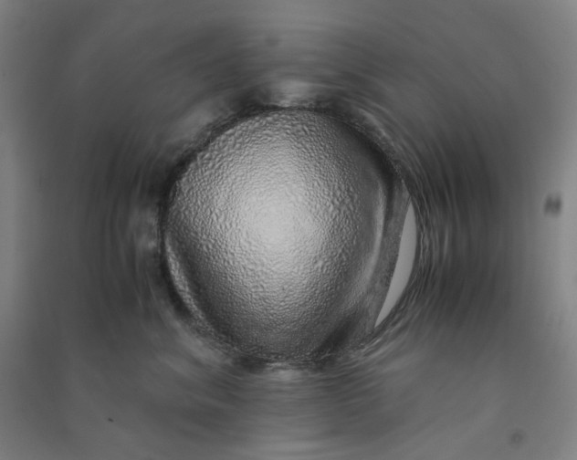 X0000090900620200708201719