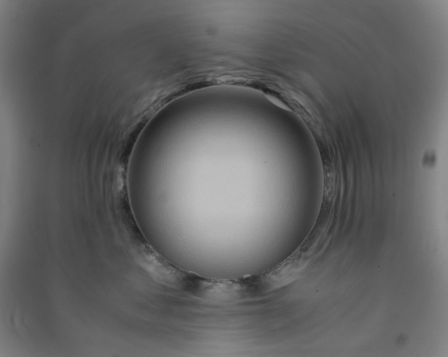 X0000090900621200708201719