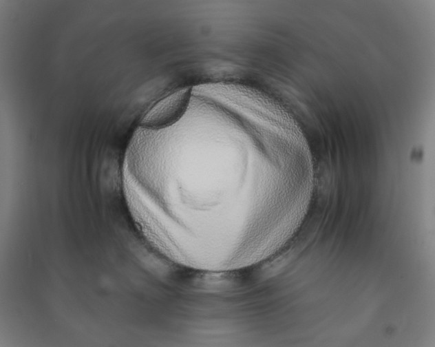 X0000090900622200708201719