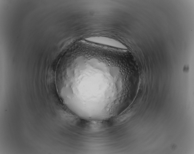 X0000090900623200708201719