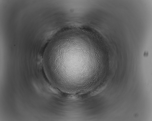 X0000090900624200708201719