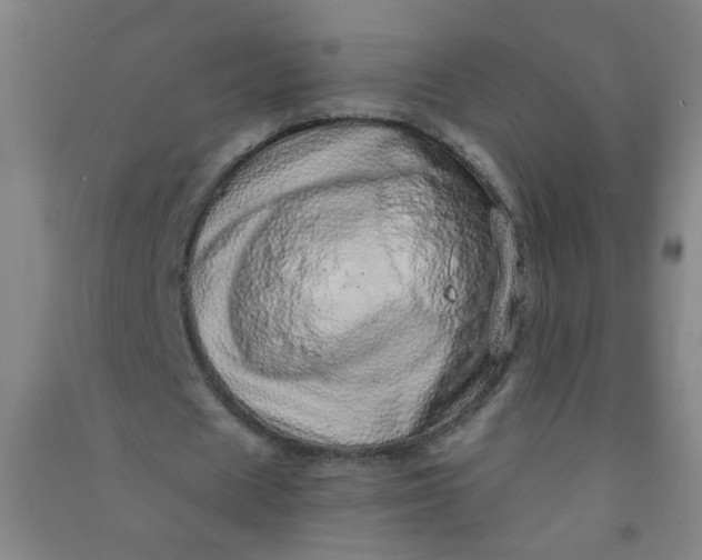 X0000090900625200708201718