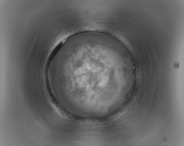 X0000090900626200708201718