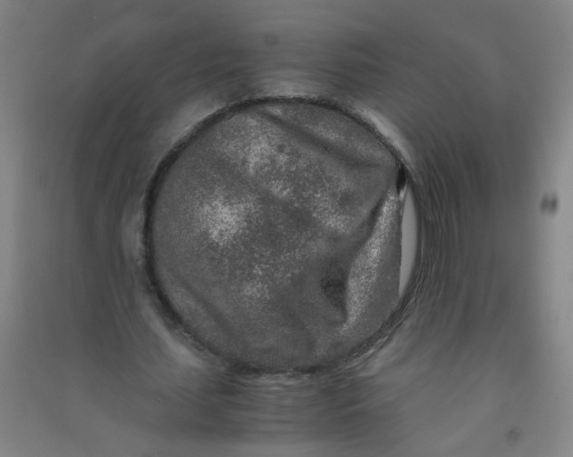 X0000090900627200708201718