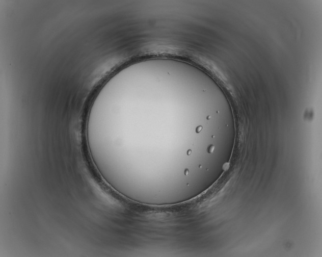 X0000090900629200708201718