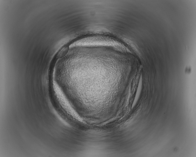 X0000090900630200708201718