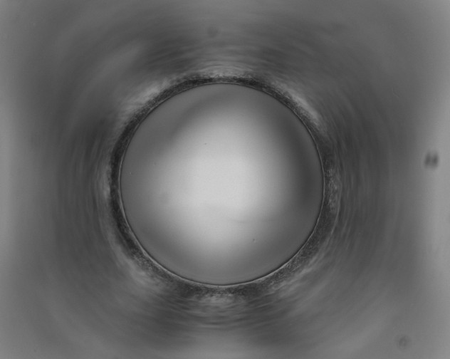 X0000090900631200708201718