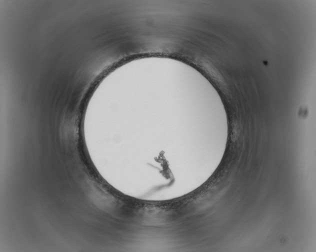 X0000090900632200708201718