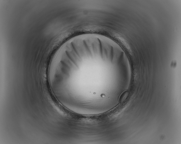 X0000090900633200708201718