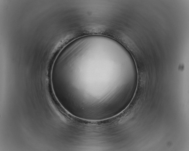 X0000090900634200708201718