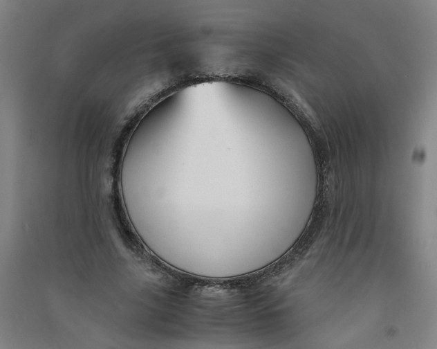 X0000090900635200708201718