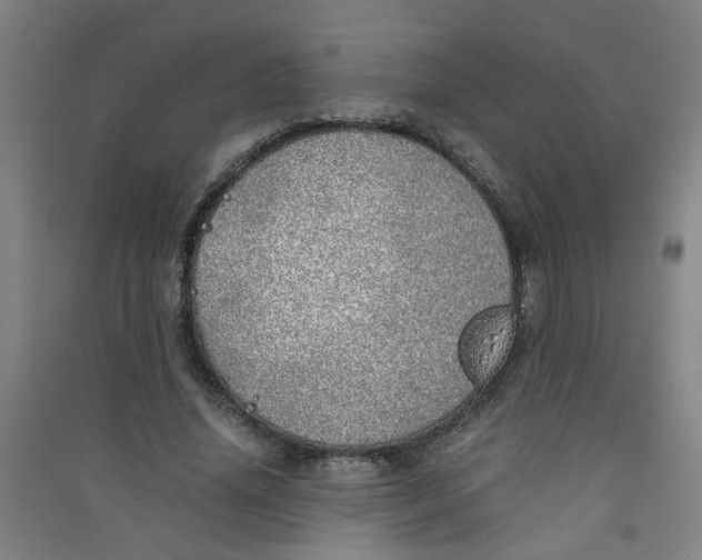 X0000090900636200708201718