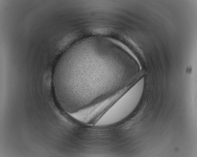 X0000090900637200708201718