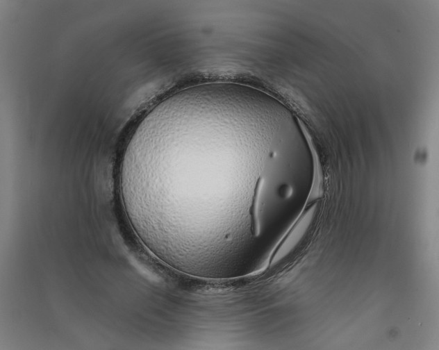 X0000090900638200708201719