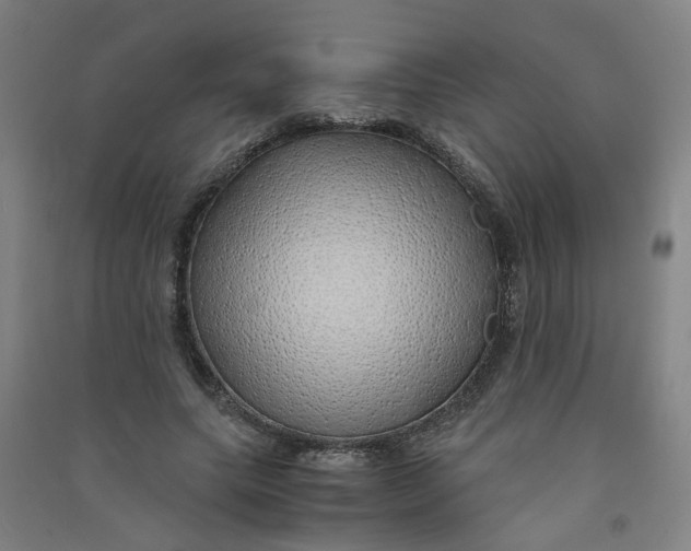 X0000090900639200708201719