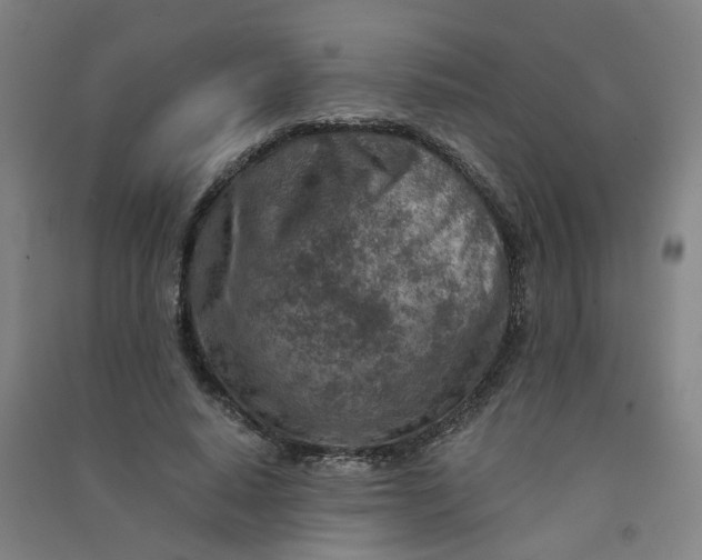 X0000090900640200708201719