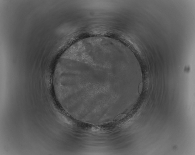 X0000090900641200708201719