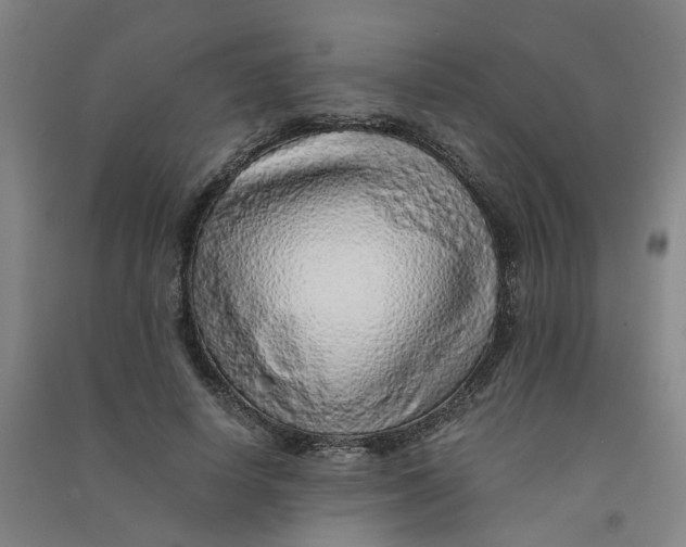 X0000090900642200708201719