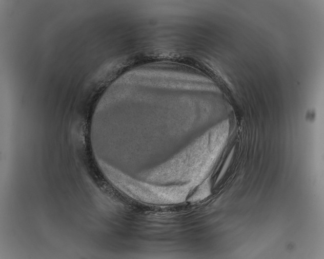 X0000090900643200708201719