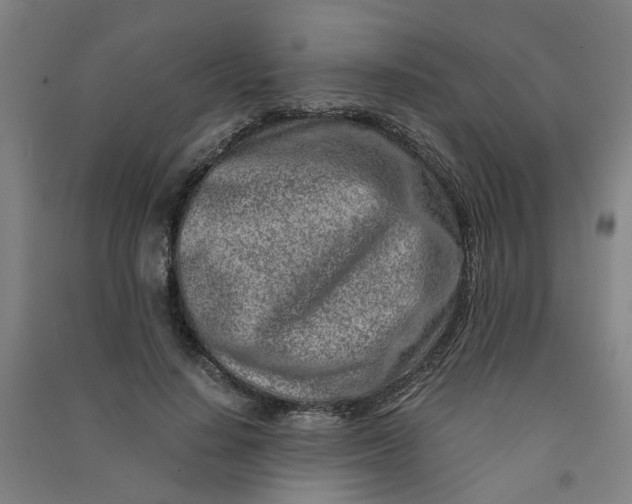 X0000090900644200708201719