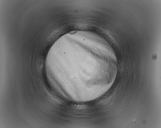 X0000090900645200708201719