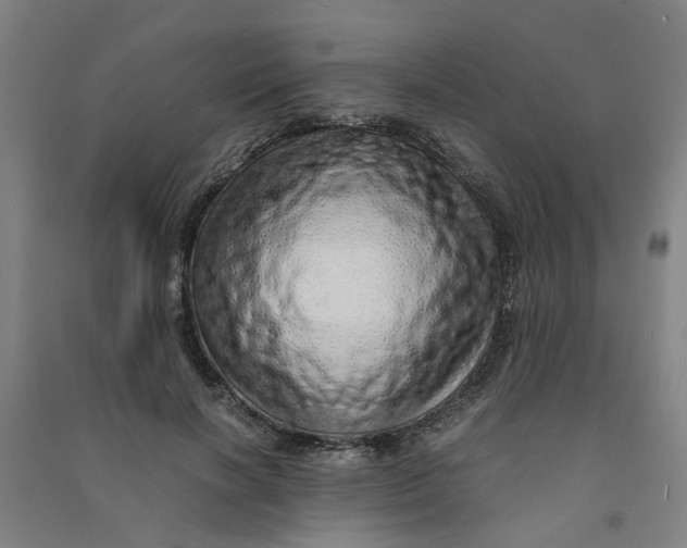 X0000090900646200708201719