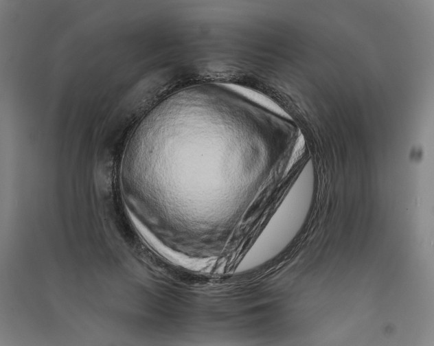 X0000090900647200708201719