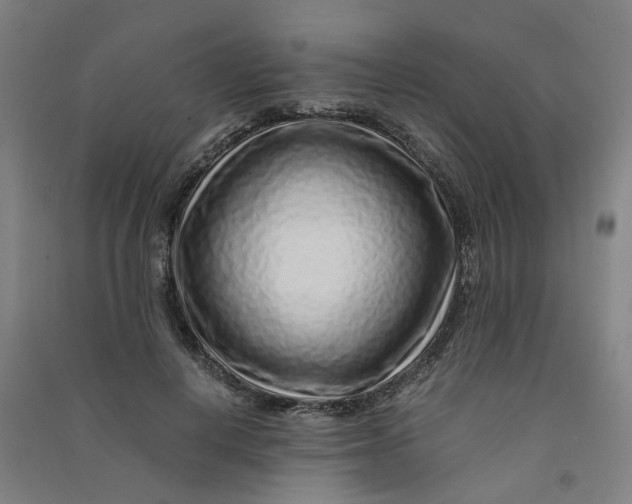 X0000090900648200708201719