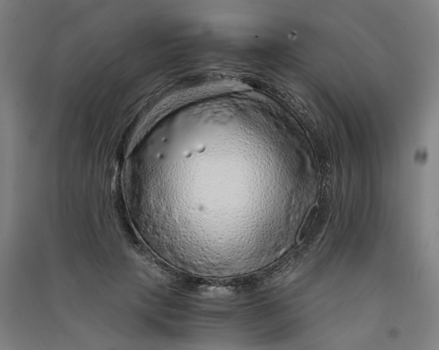 X0000090900649200708201719