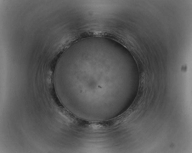 X0000090900650200708201719