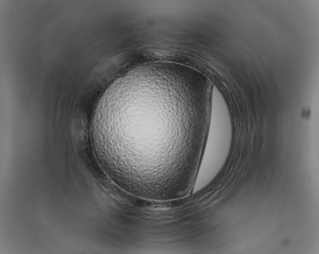 X0000090900651200708201719