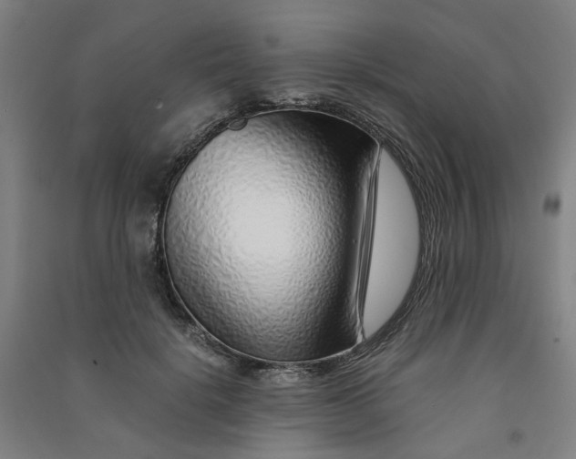 X0000090900652200708201719