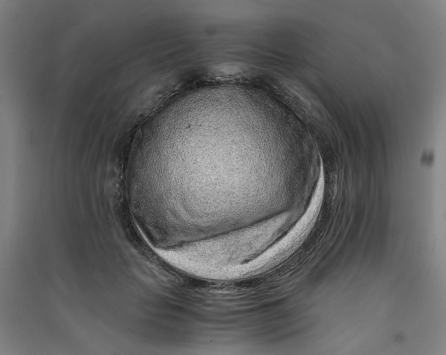 X0000090900653200708201719