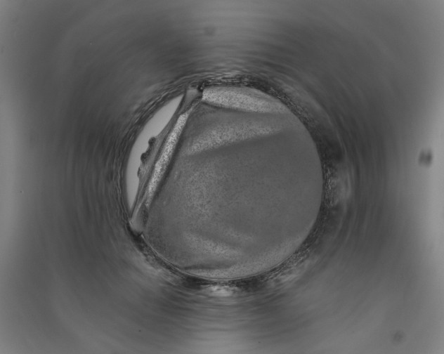 X0000090900654200708201719