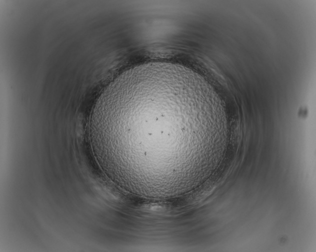 X0000090900655200708201719