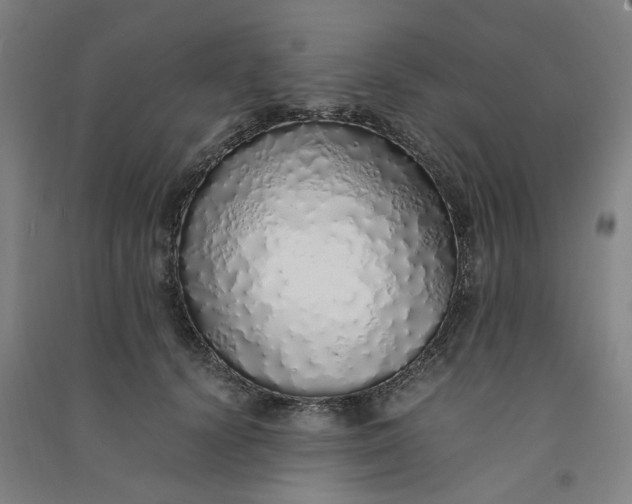 X0000090900656200708201719