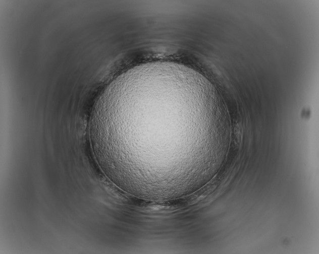 X0000090900657200708201719