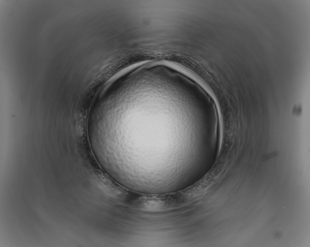 X0000090900658200708201719