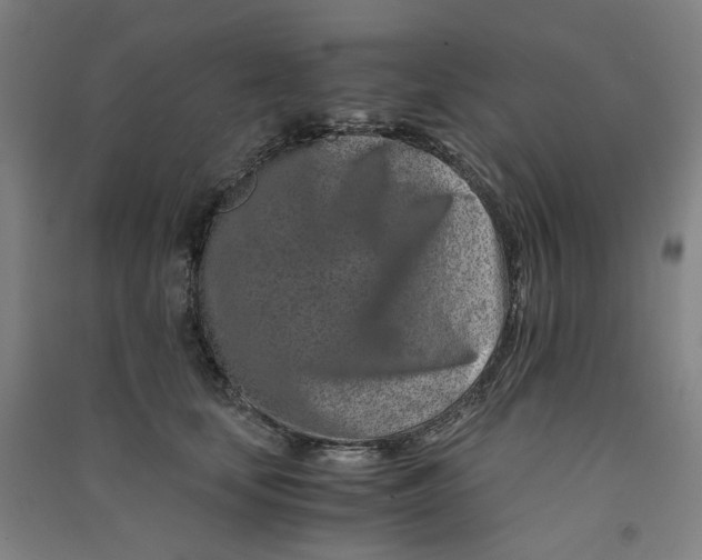 X0000090900659200708201719