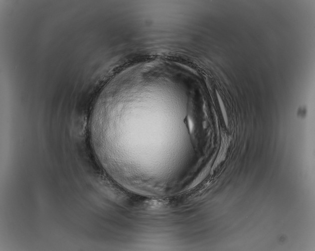 X0000090900660200708201719