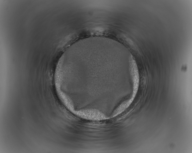 X0000090900661200708201719