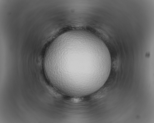 X0000090900662200708201719