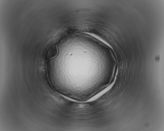 X0000090900663200708201719